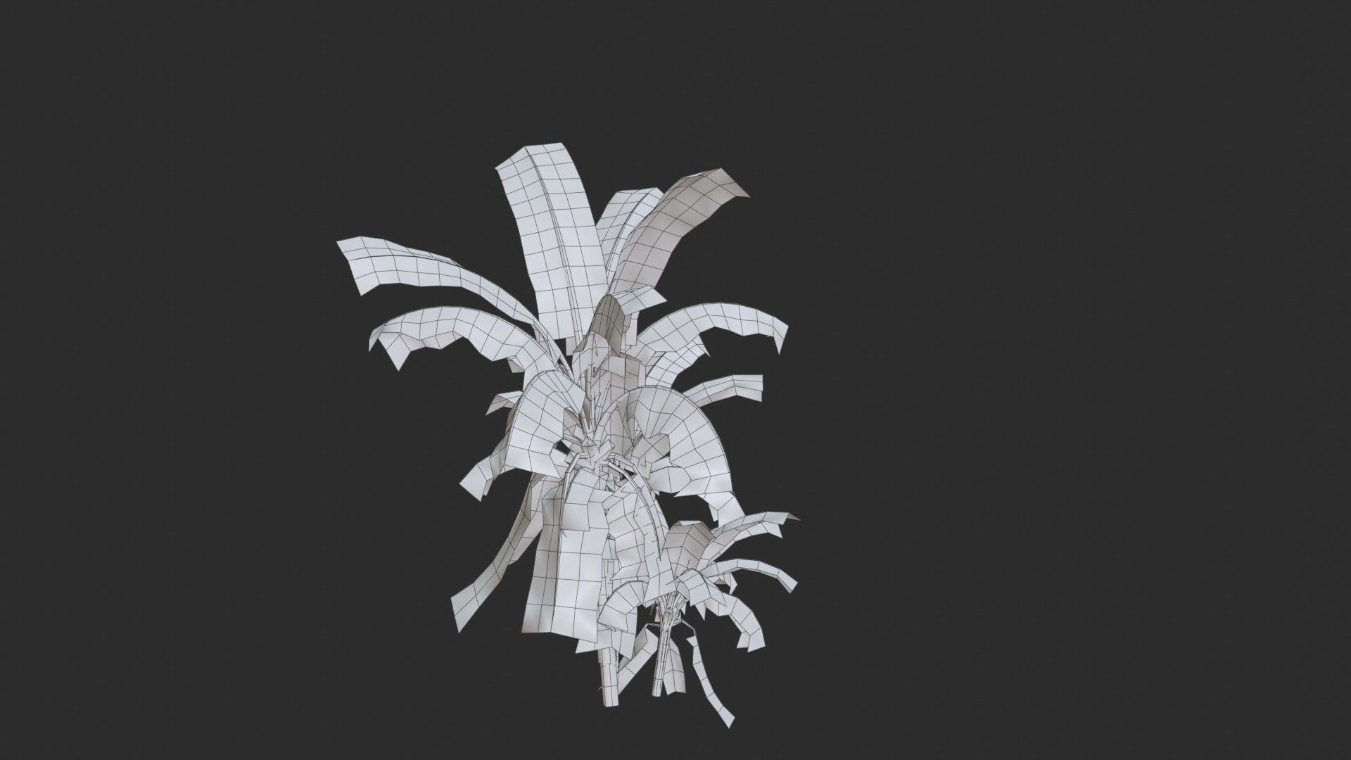 Banana Trees Collection _38