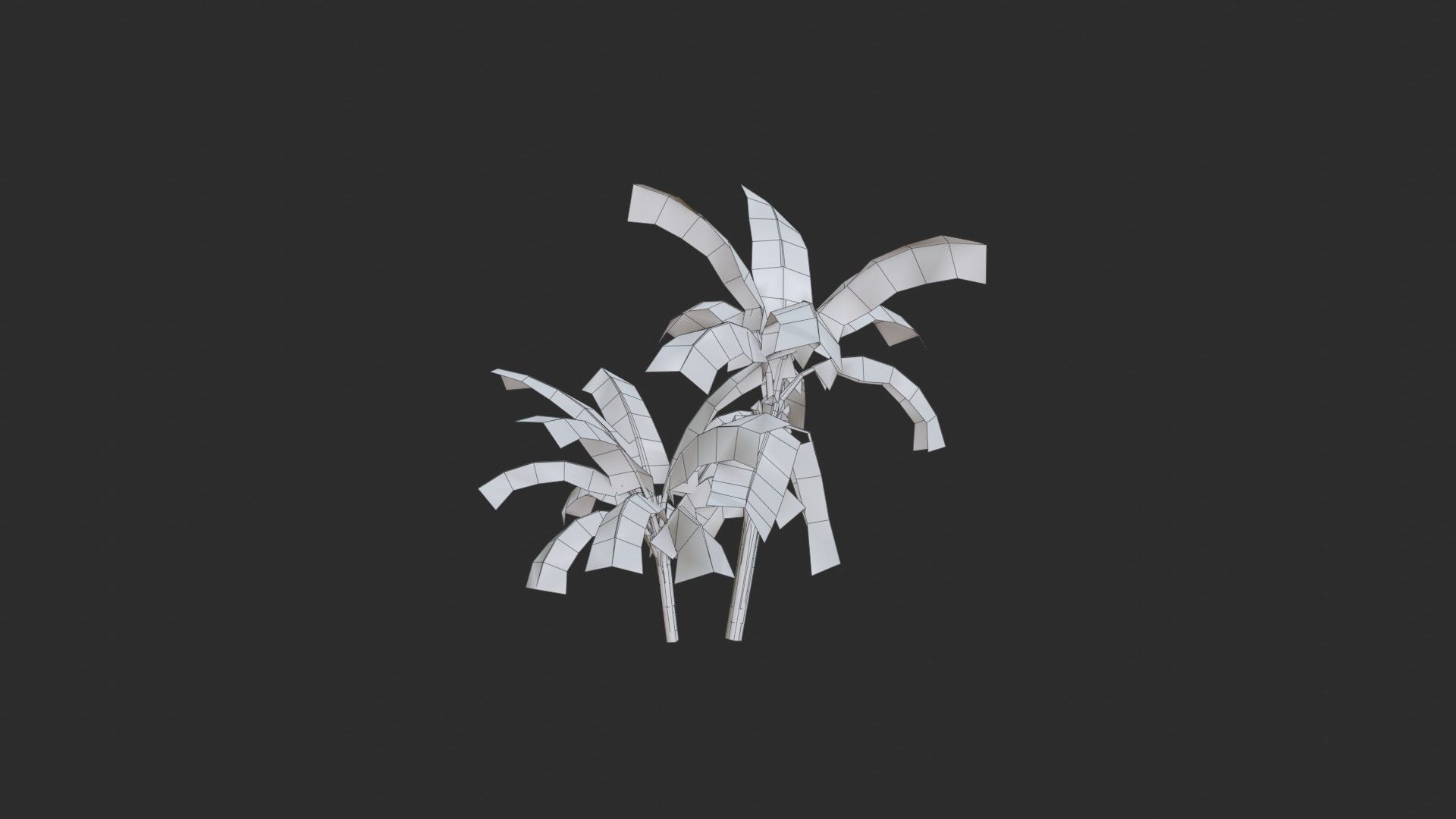 Banana Trees Collection _16