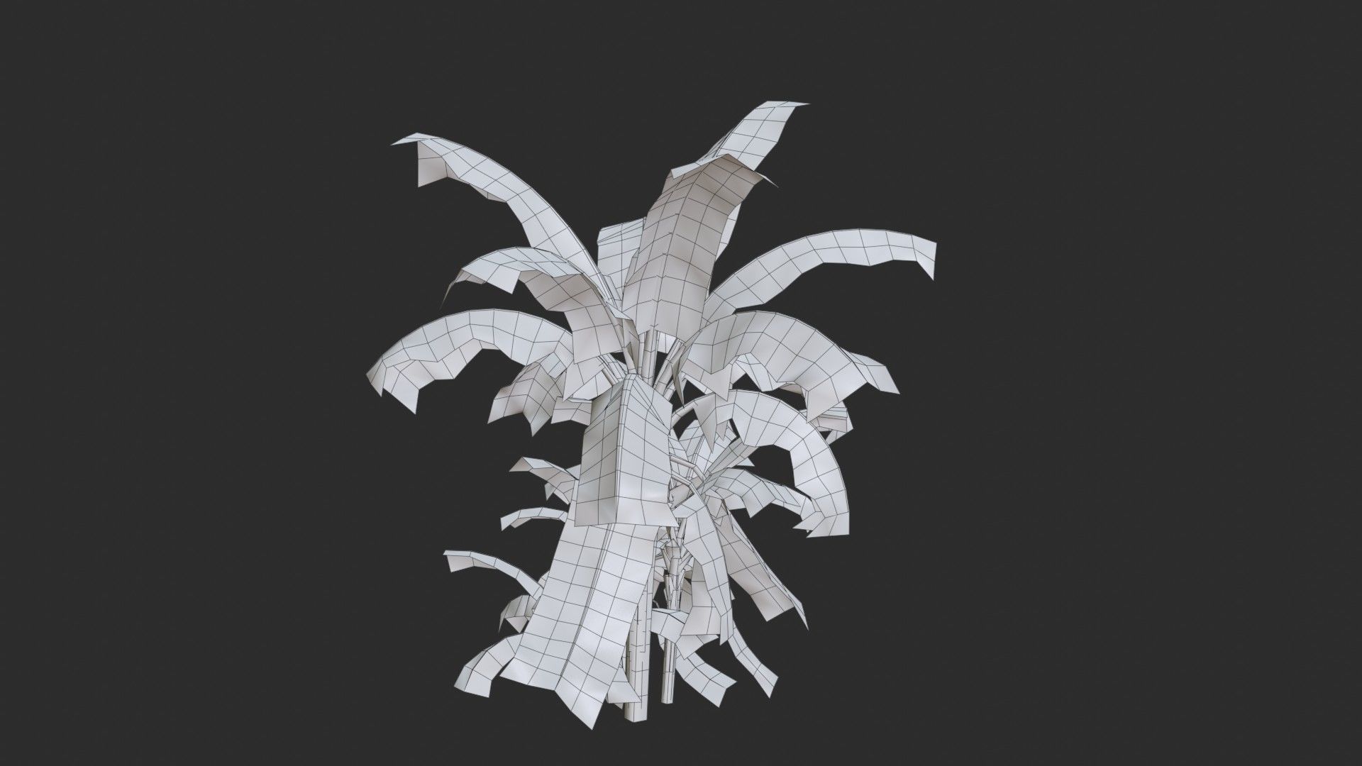 Banana Trees Collection _46