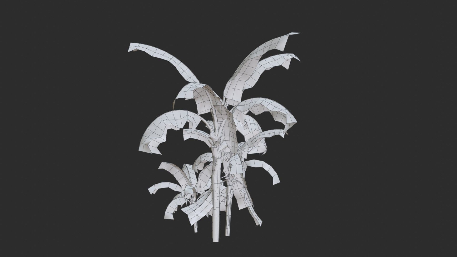 Banana Trees Collection _48