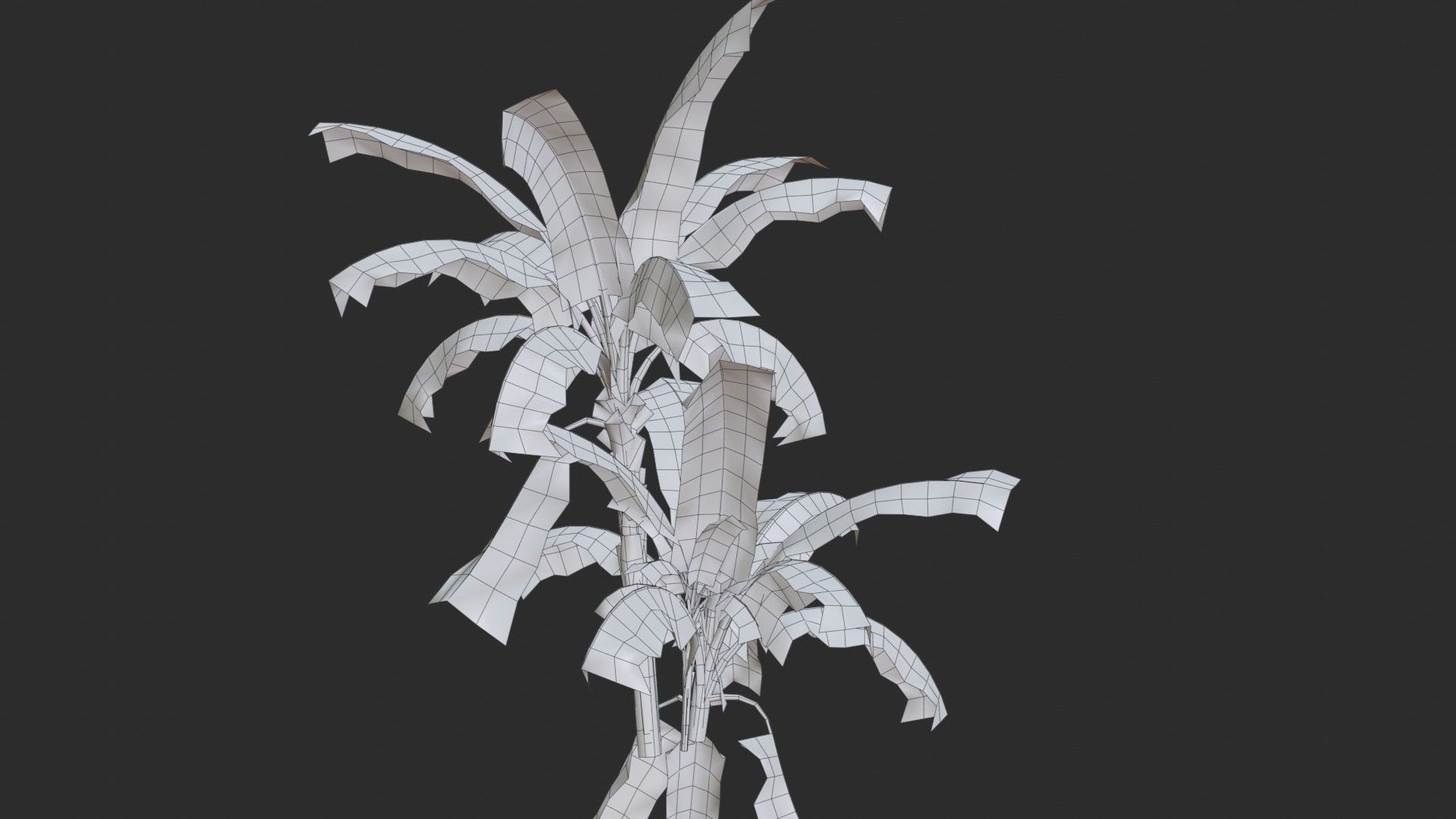 Banana Trees Collection _40