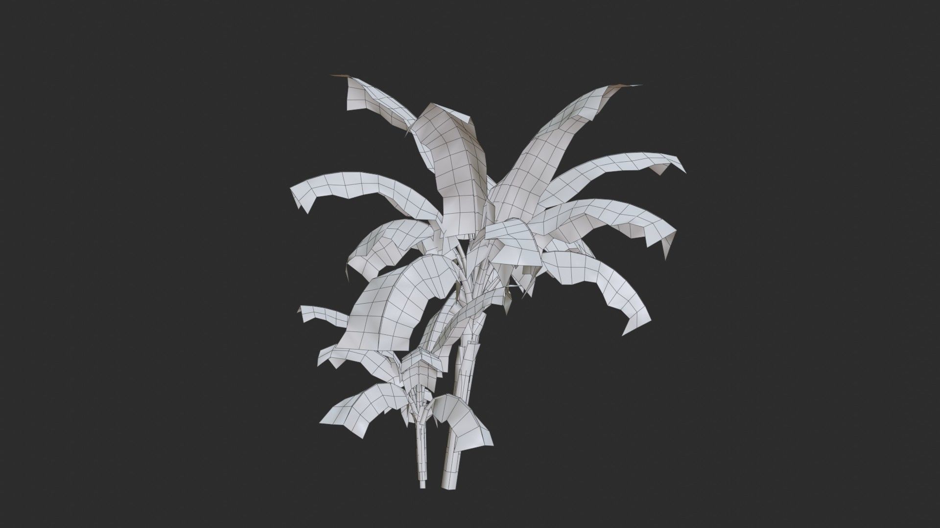 Banana Trees Collection _36