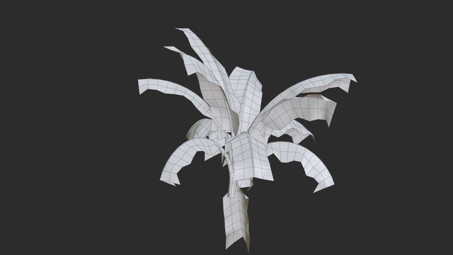 Banana Trees Collection _20