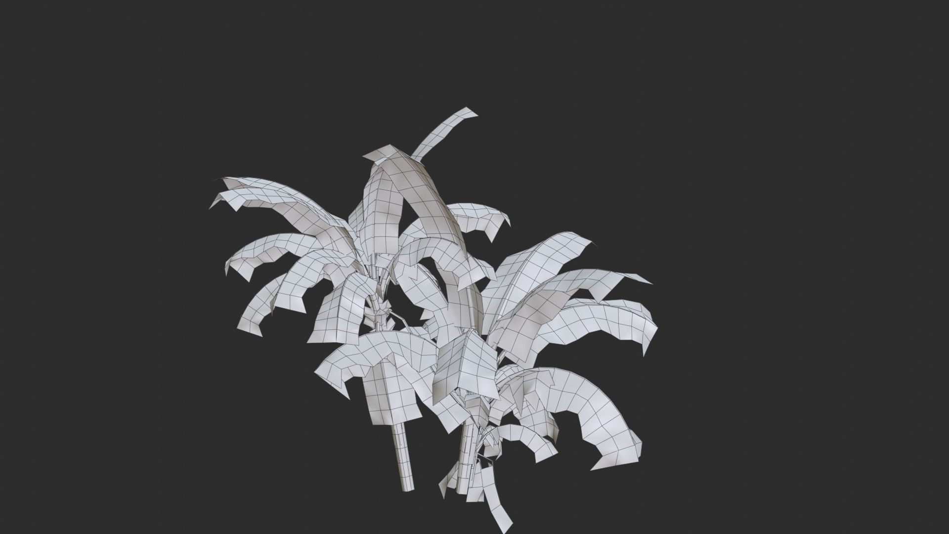 Banana Trees Collection _44