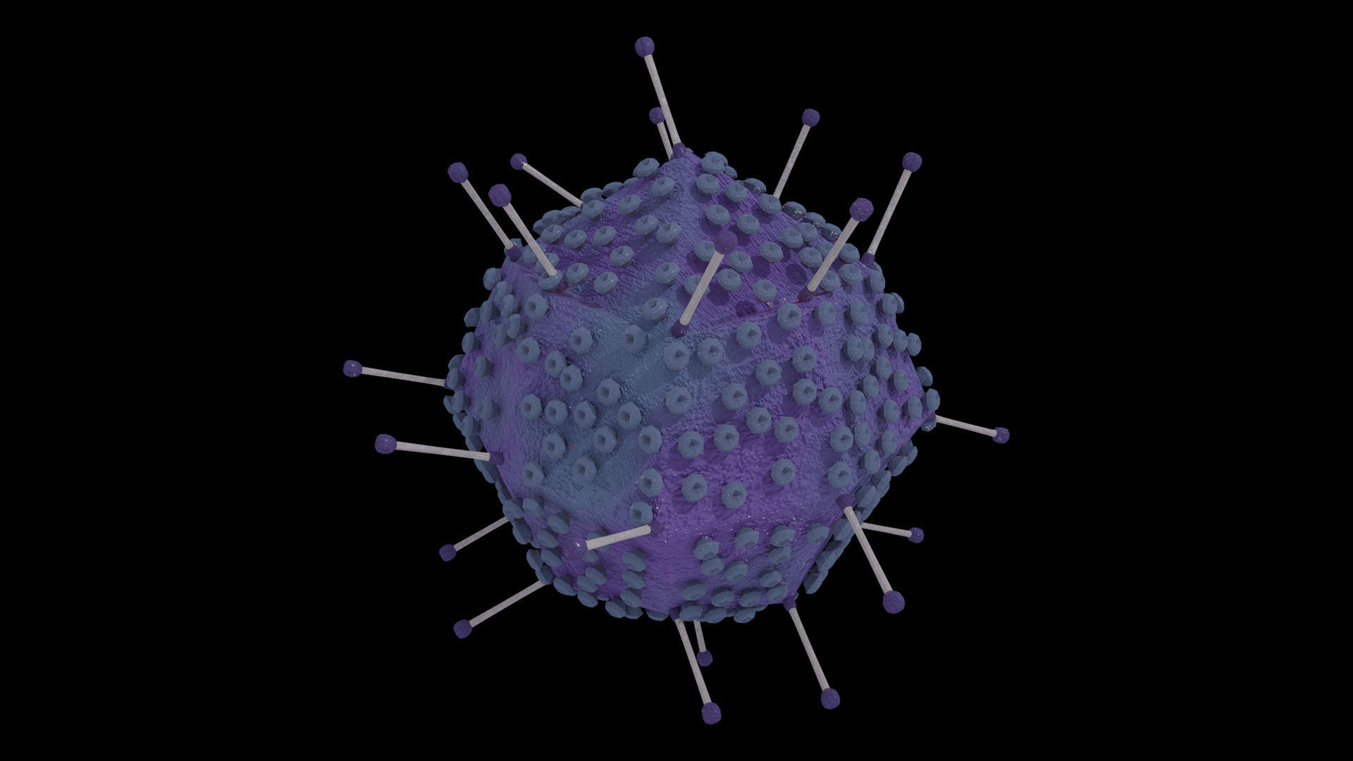 Adenovirus corona virus Low-poly 3D model_3