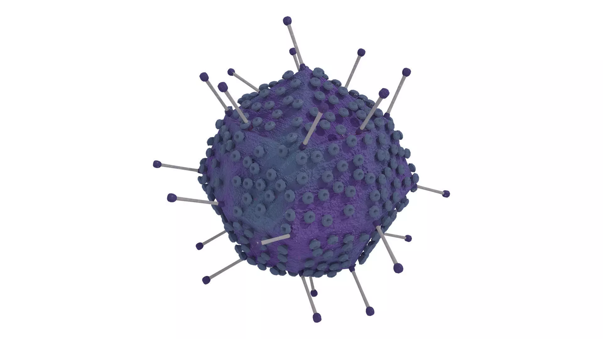 Adenovirus corona virus Low-poly 3D model_0