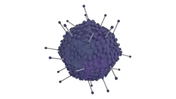 Adenovirus corona virus Low-poly 3D model