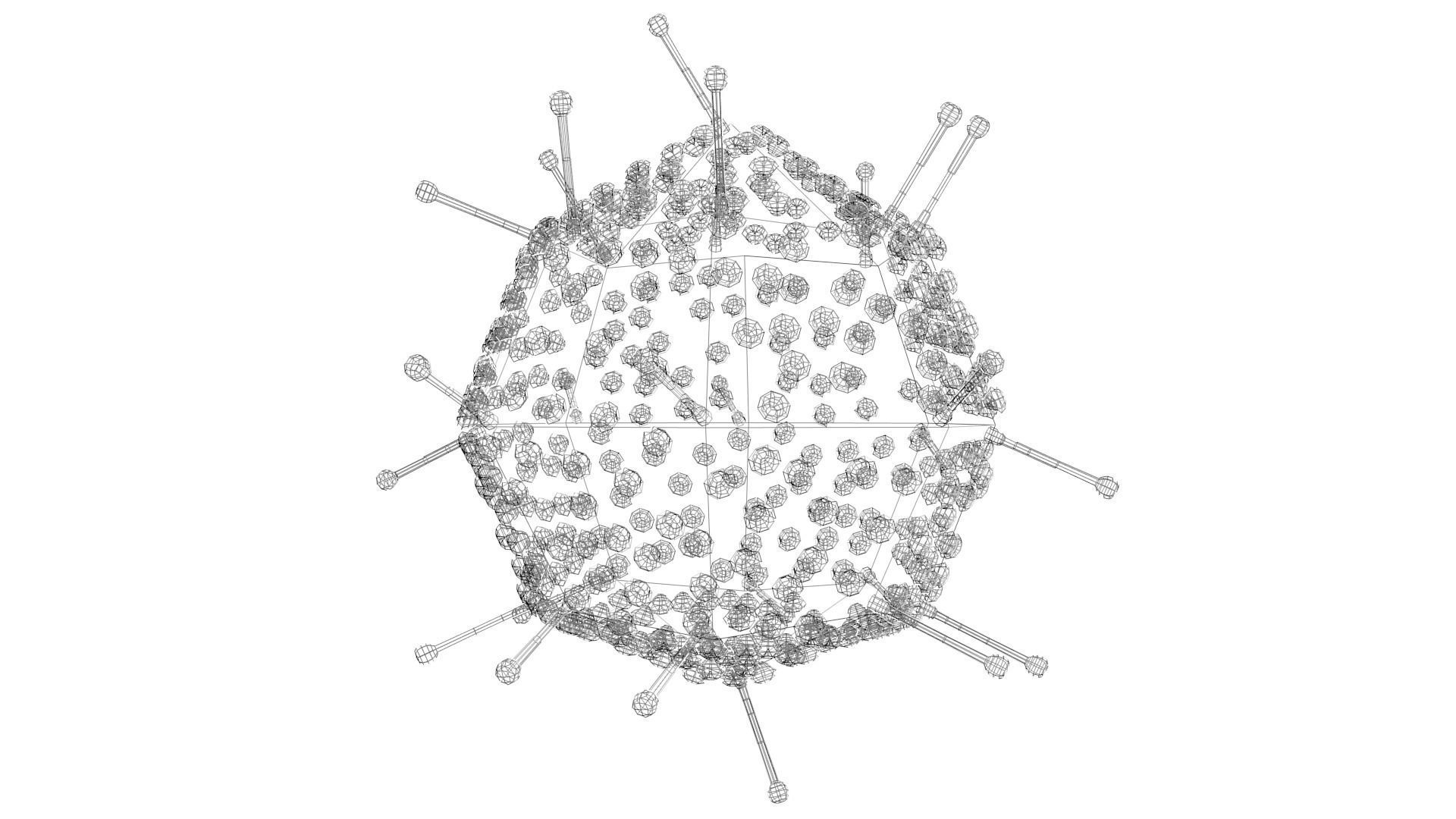 Adenovirus corona virus Low-poly 3D model_4