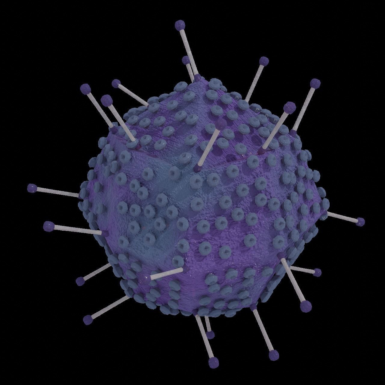 Adenovirus corona virus Low-poly 3D model_2