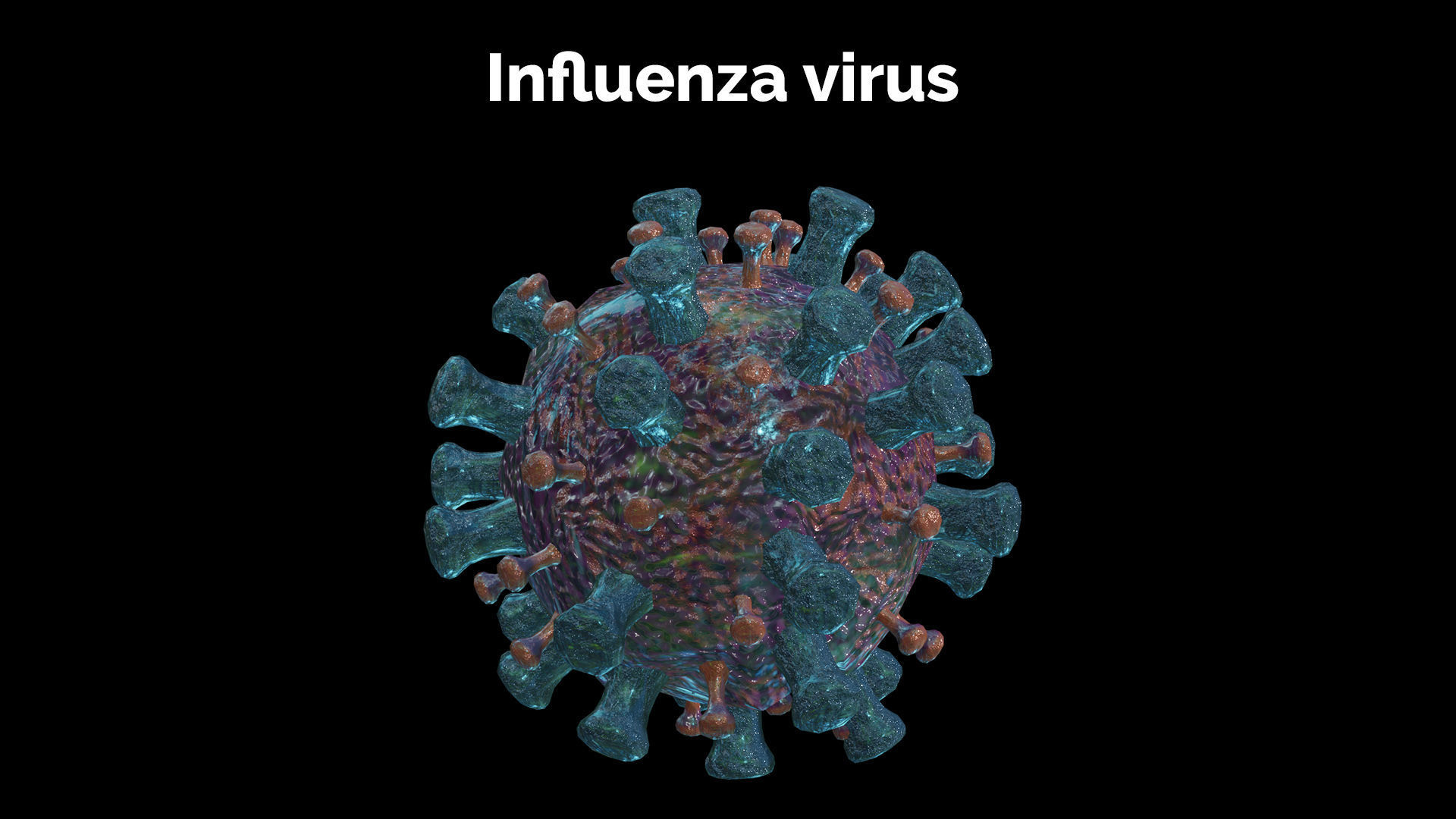 Influenza virus Low-poly 3D model_3