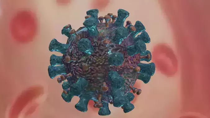 Influenza virus Low-poly 3D model
