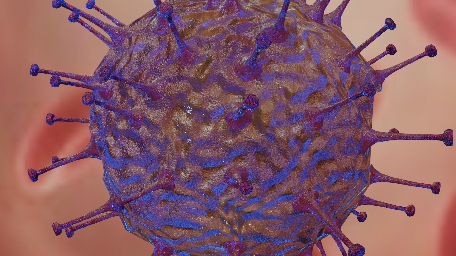 Rotavirus coronavirus in blood cell Low-poly 3D model_2