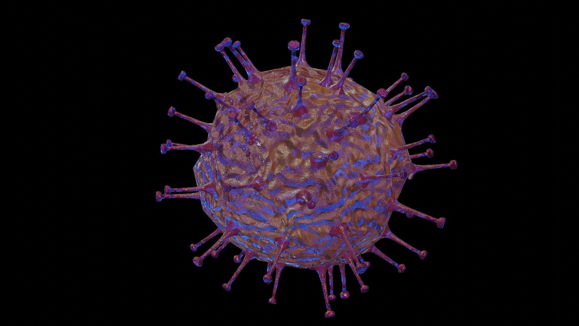 Rotavirus coronavirus in blood cell Low-poly 3D model_5