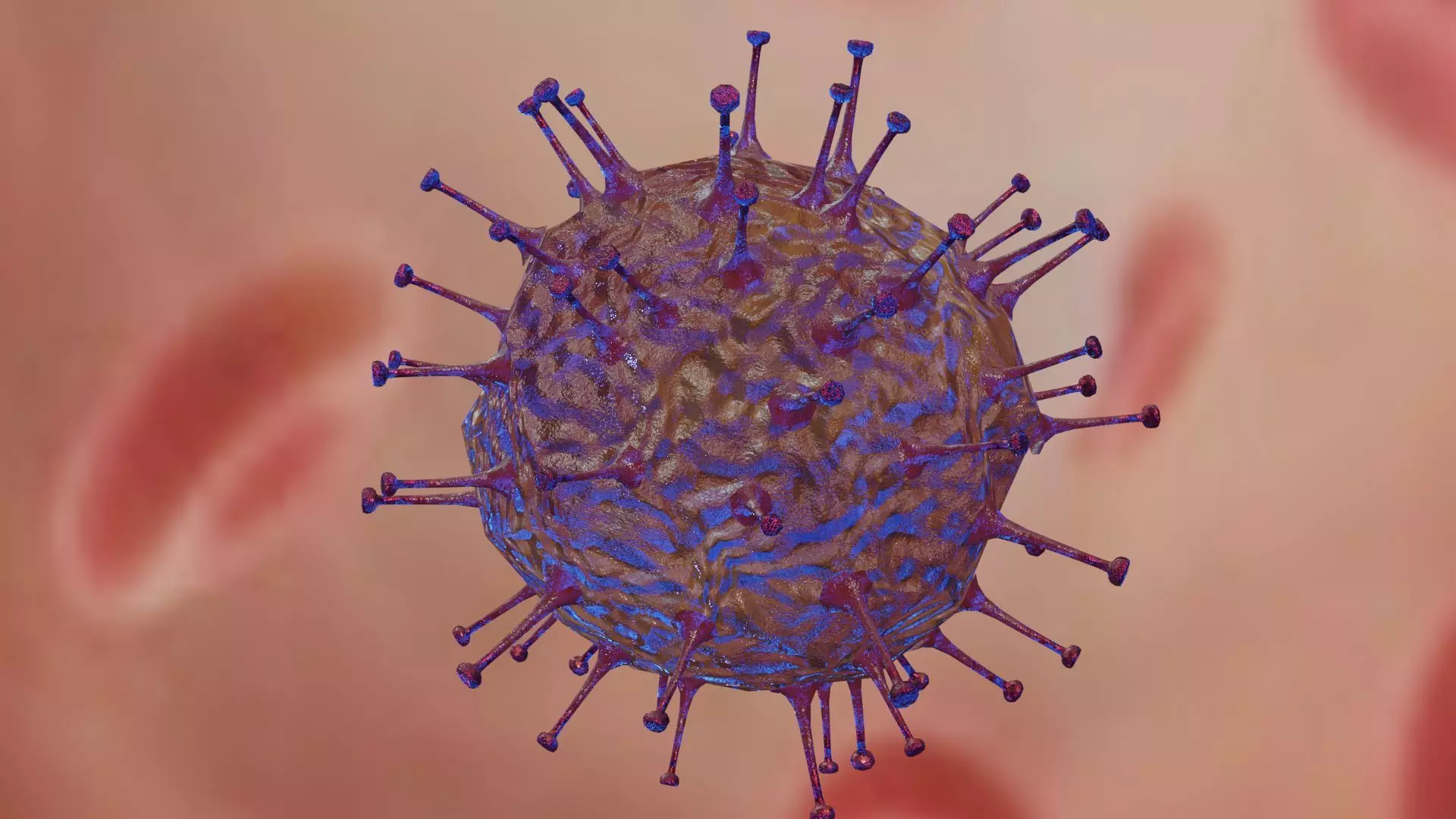 Rotavirus coronavirus in blood cell Low-poly 3D model_0