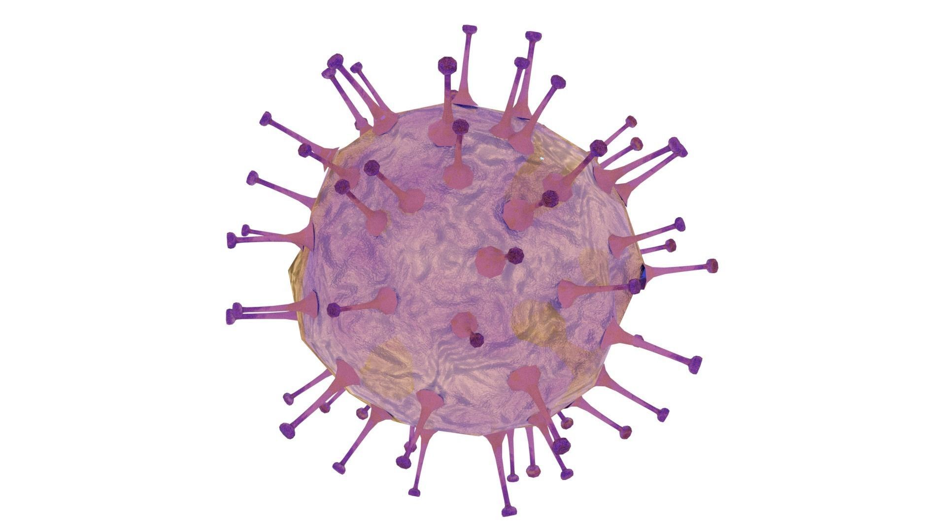 Rotavirus coronavirus in blood cell Low-poly 3D model_4