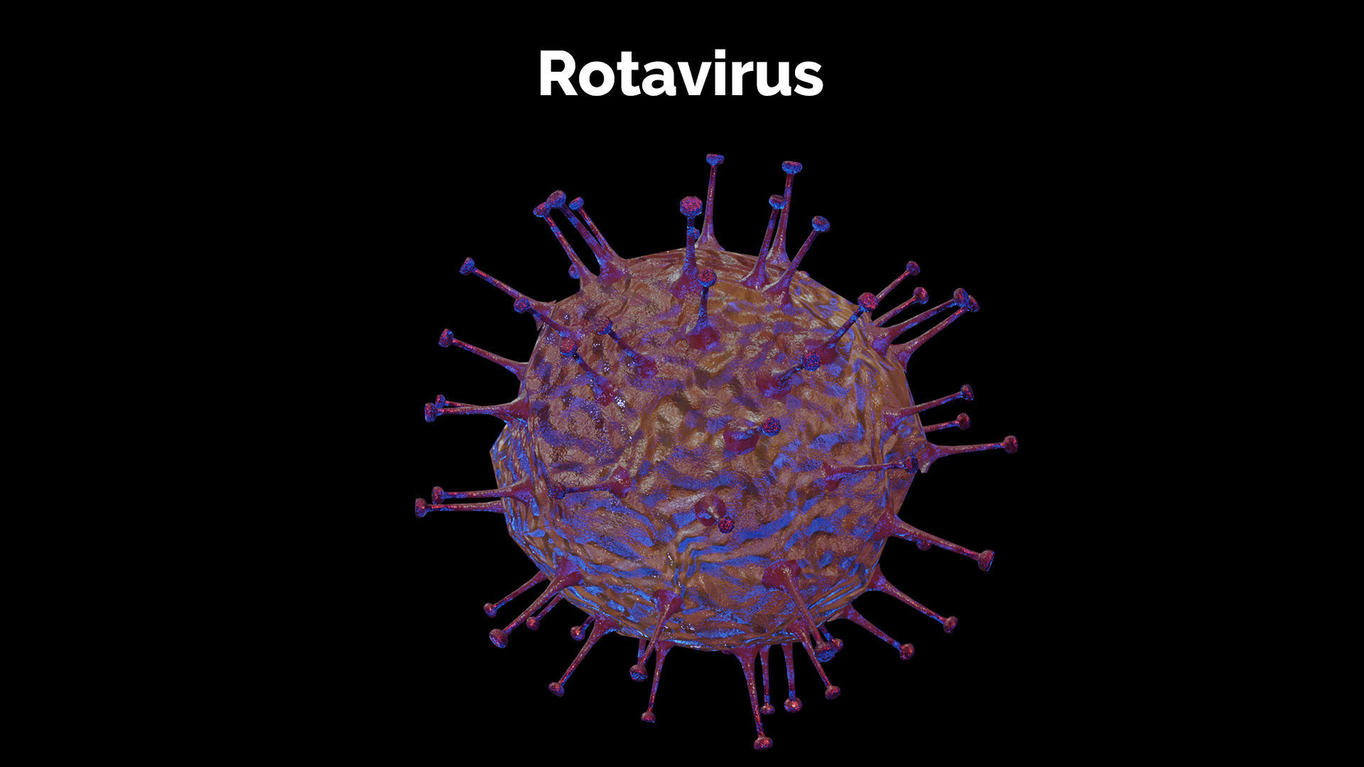 Rotavirus coronavirus in blood cell Low-poly 3D model_3