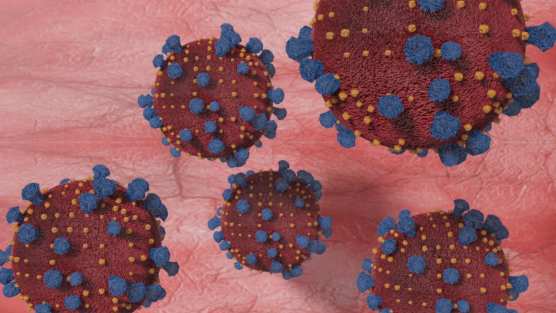 Coronavirus corona virus Low-poly 3D model_1