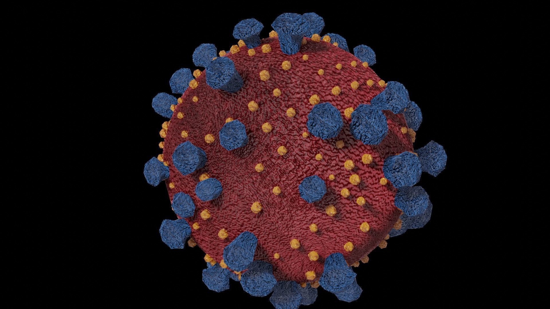 Coronavirus corona virus Low-poly 3D model_2