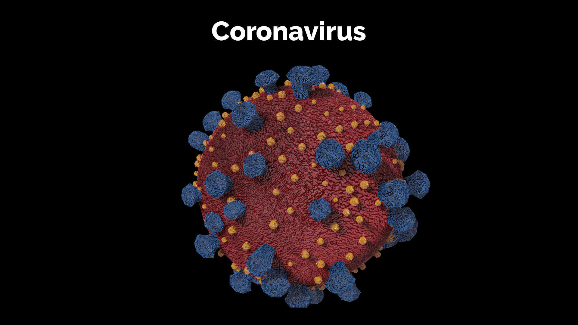 Coronavirus corona virus Low-poly 3D model_3