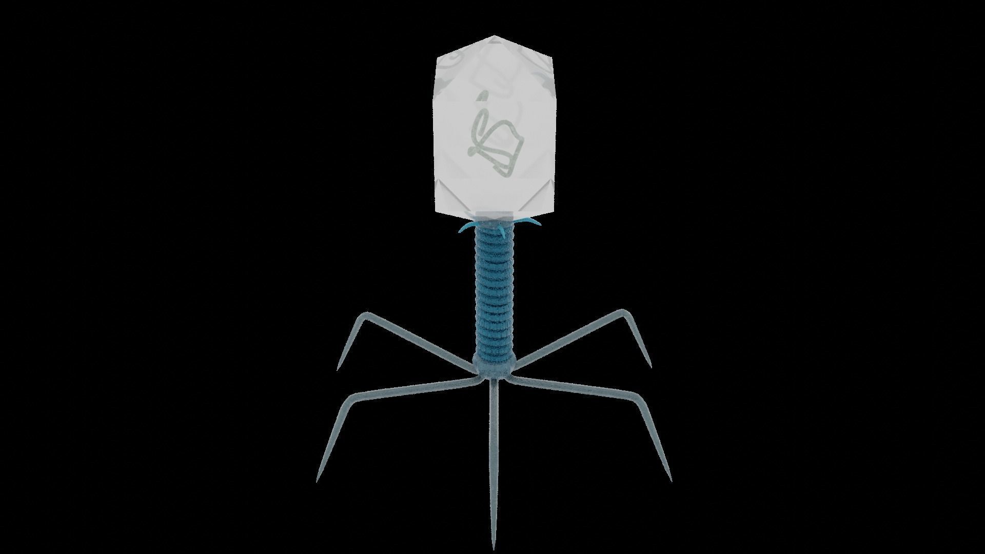 Bacteriophage bug with light Low-poly 3D model_1