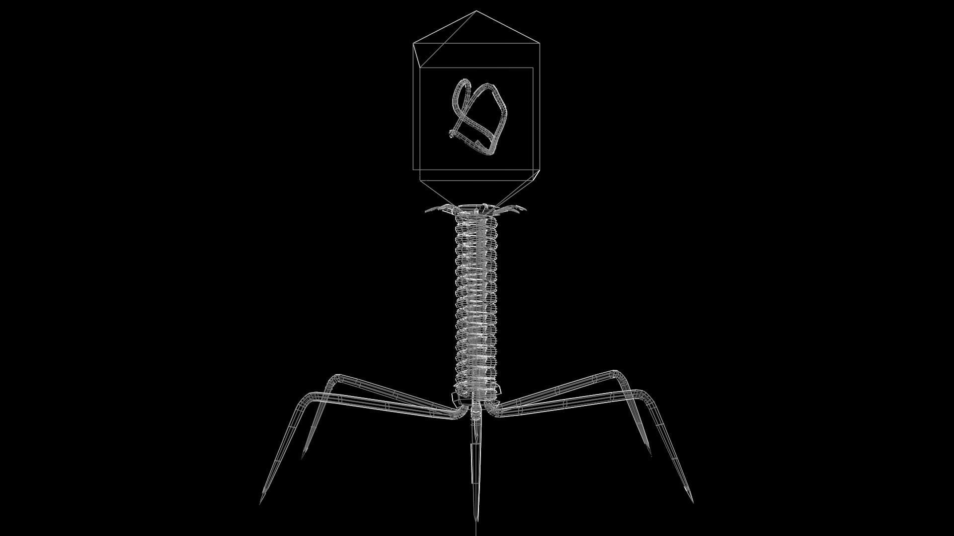 Bacteriophage bug with light Low-poly 3D model_4