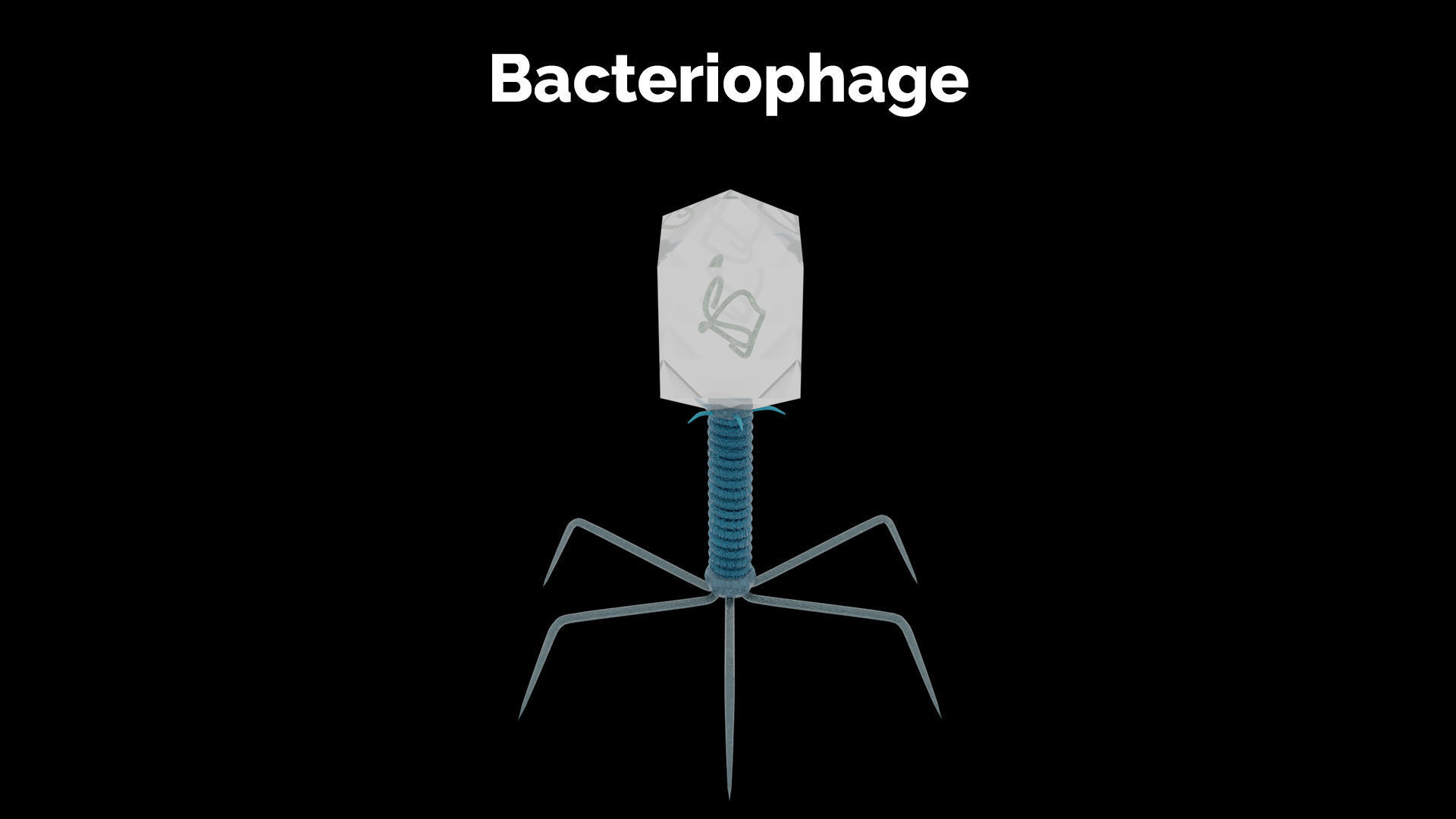 Bacteriophage bug with light Low-poly 3D model_3
