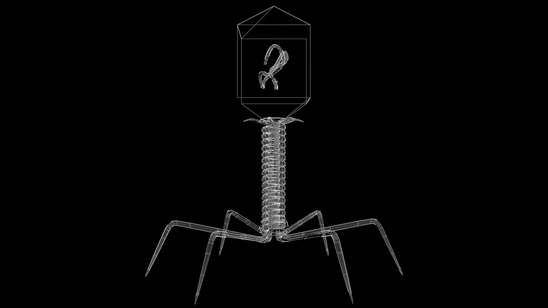 Bacteriophage bug with light Low-poly 3D model_5
