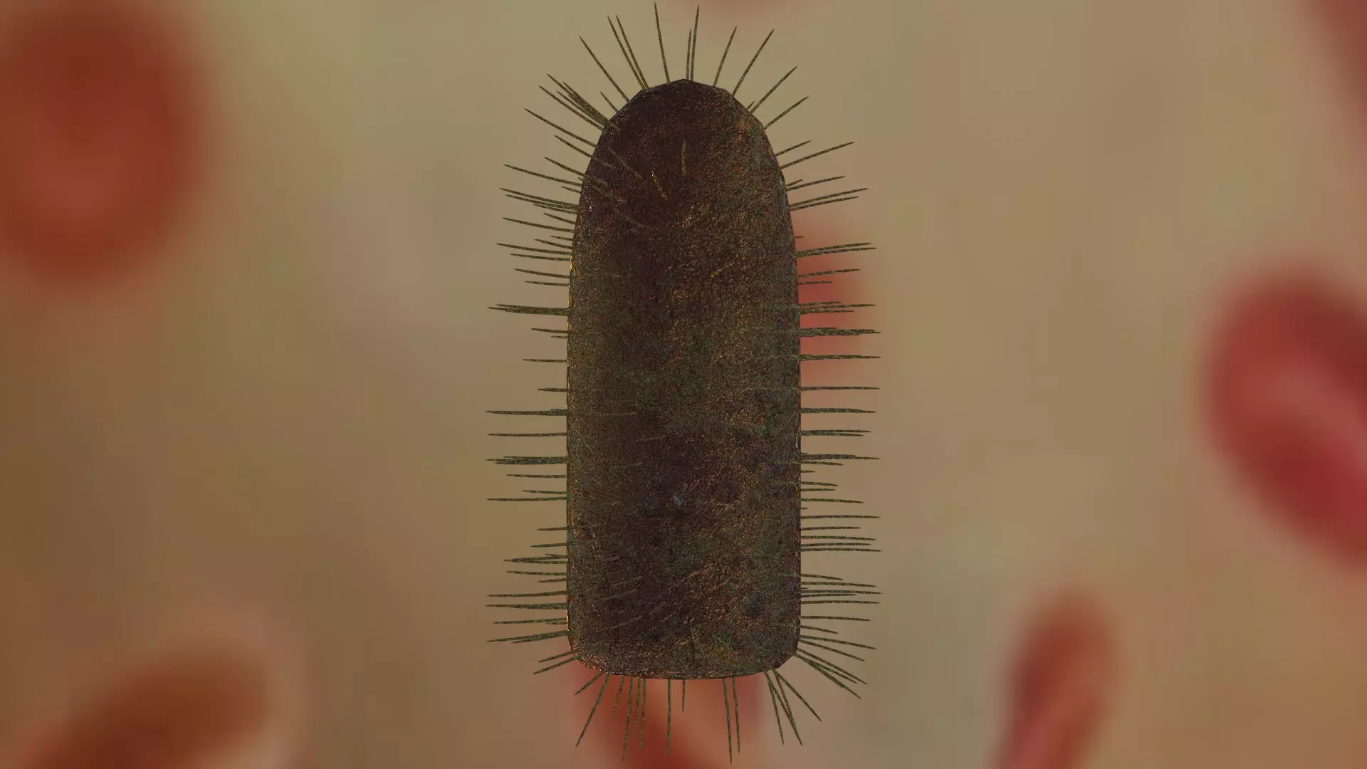 Rabies virus Low-poly 3D model_0