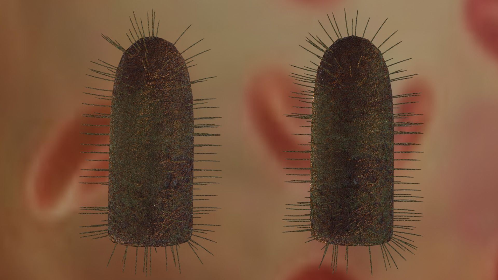 Rabies virus Low-poly 3D model_2