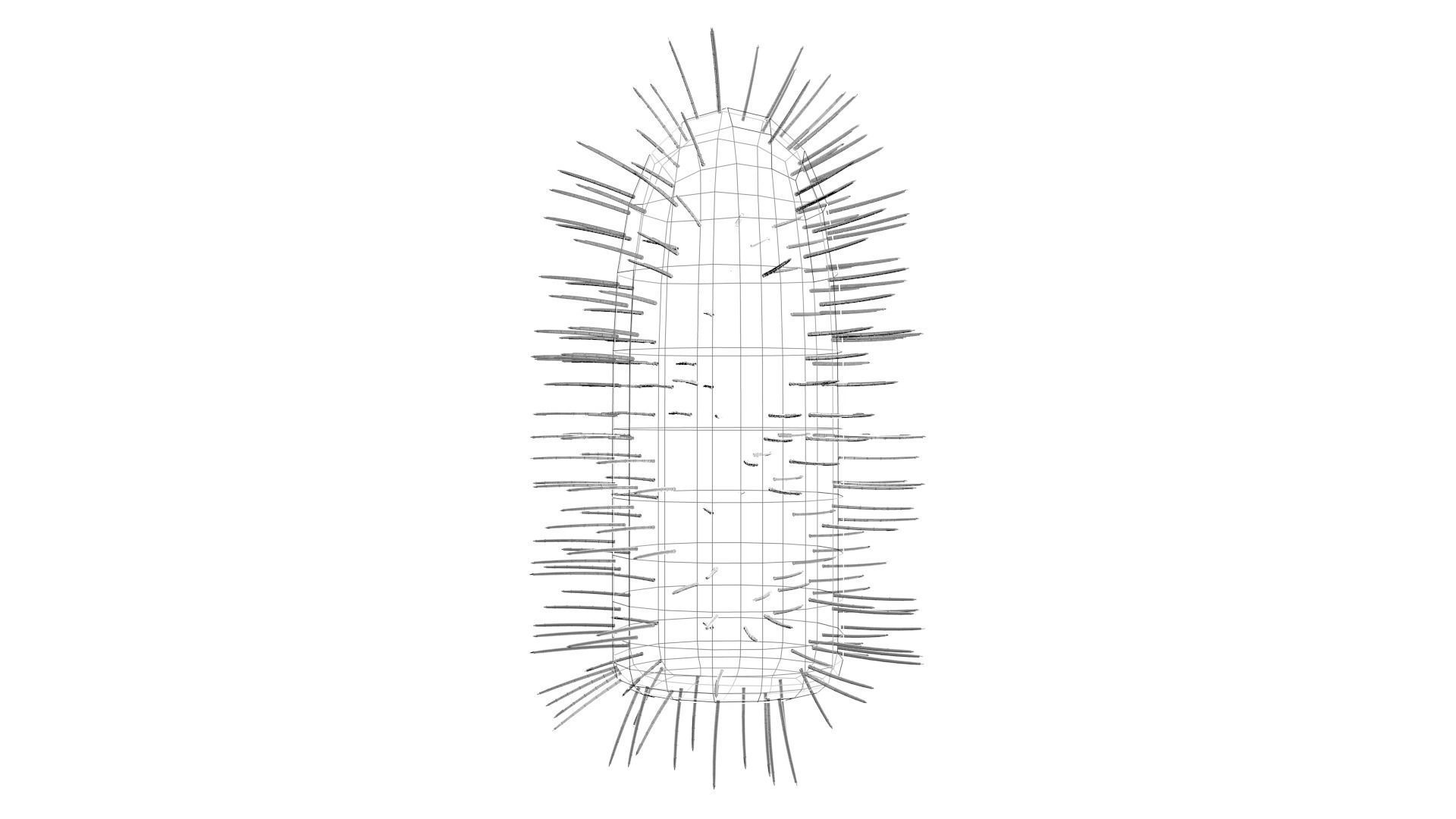 Rabies virus Low-poly 3D model_8