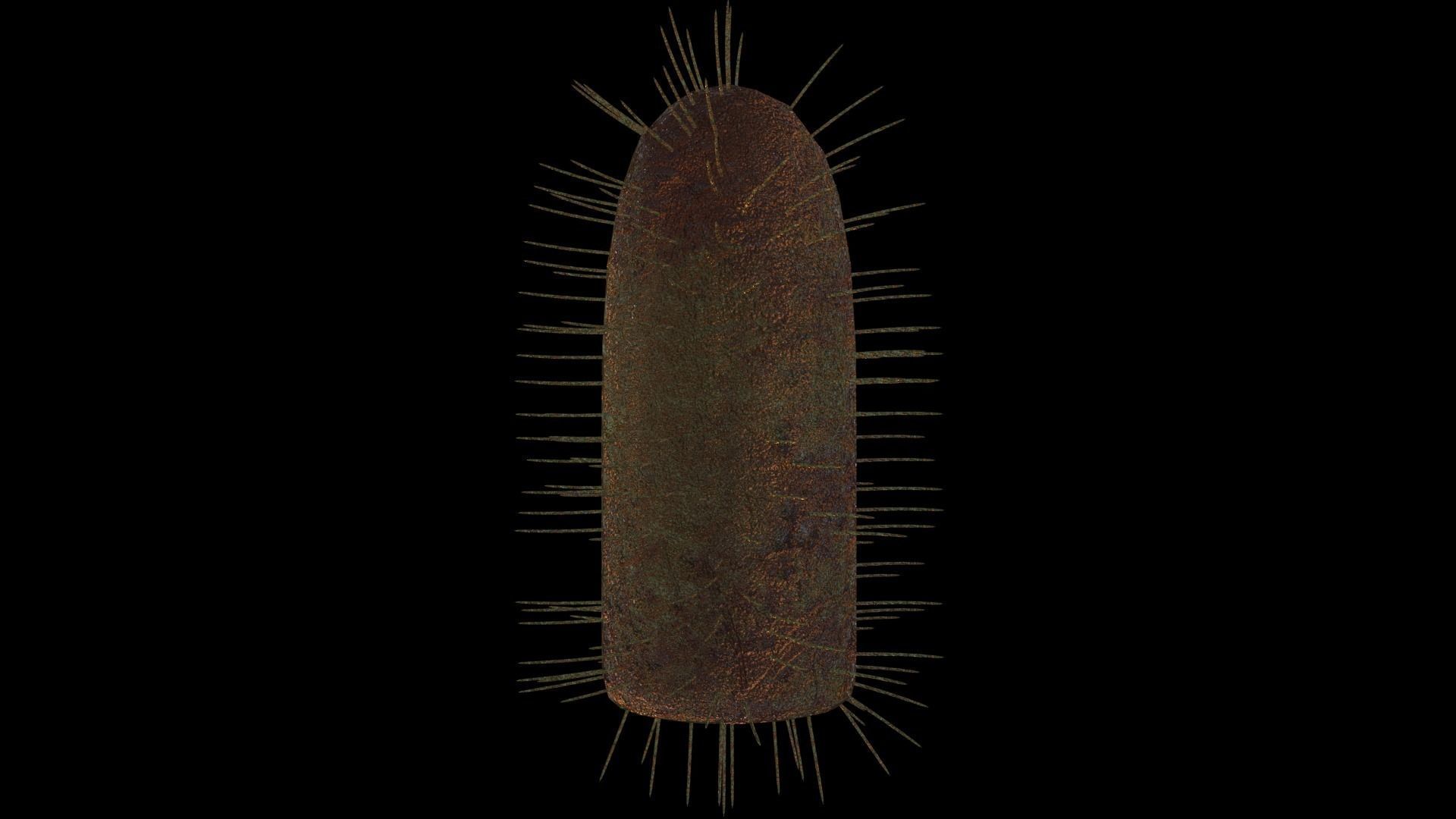 Rabies virus Low-poly 3D model_5