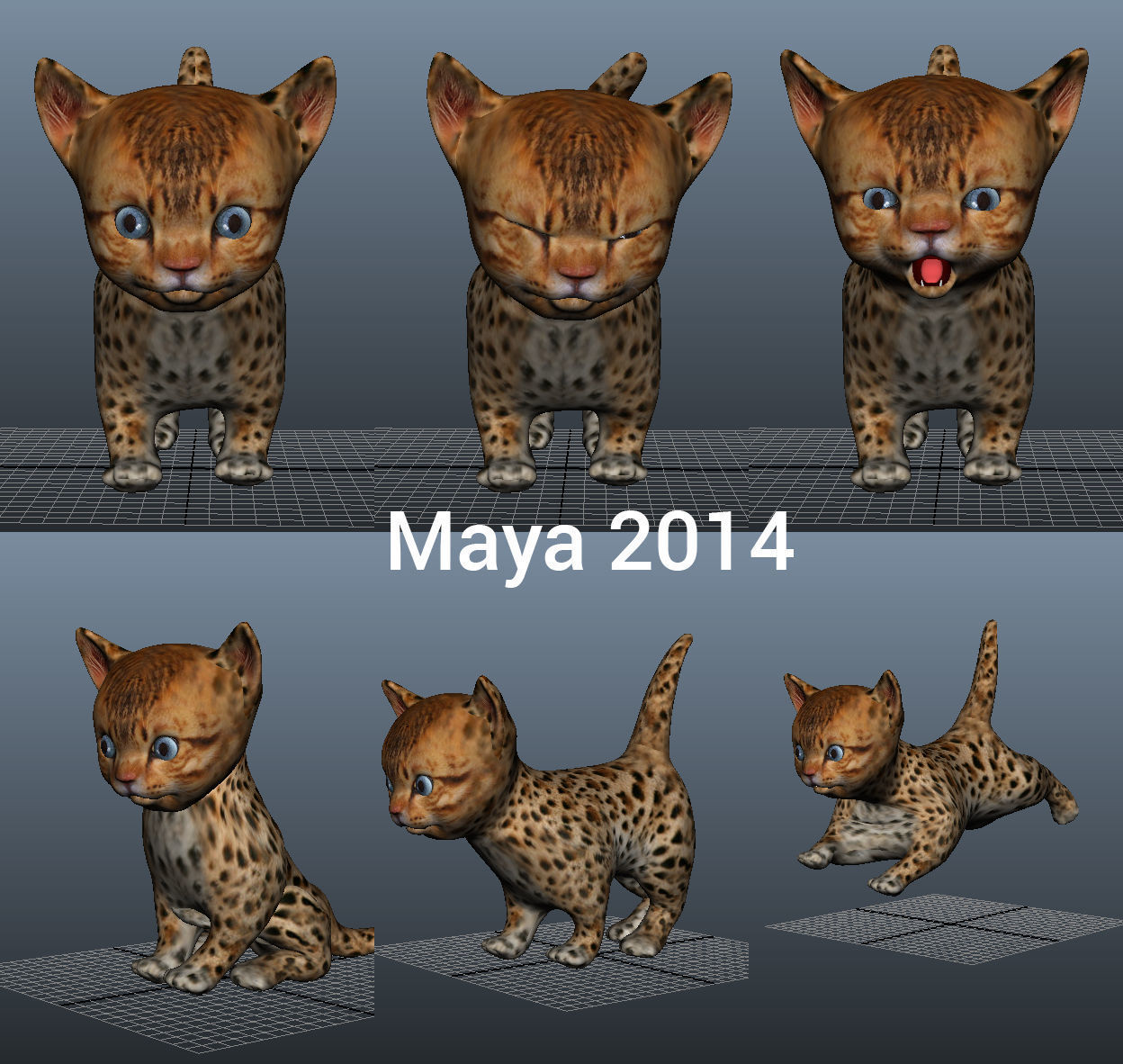3d Cat Animated model  Low-poly 3D model_9