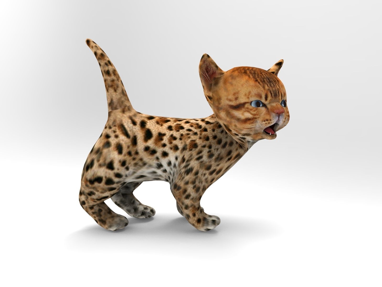 3d Cat Animated model  Low-poly 3D model_8