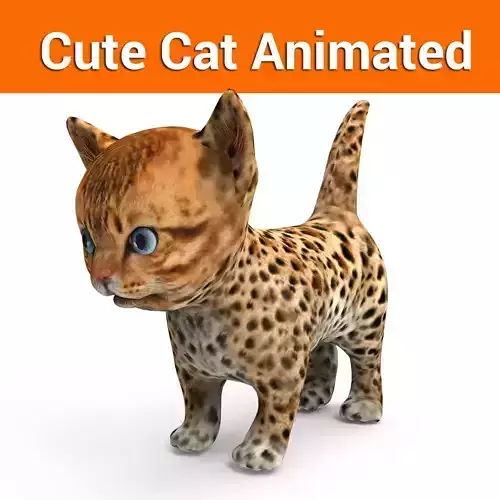 3d Cat Animated model  Low-poly 3D model