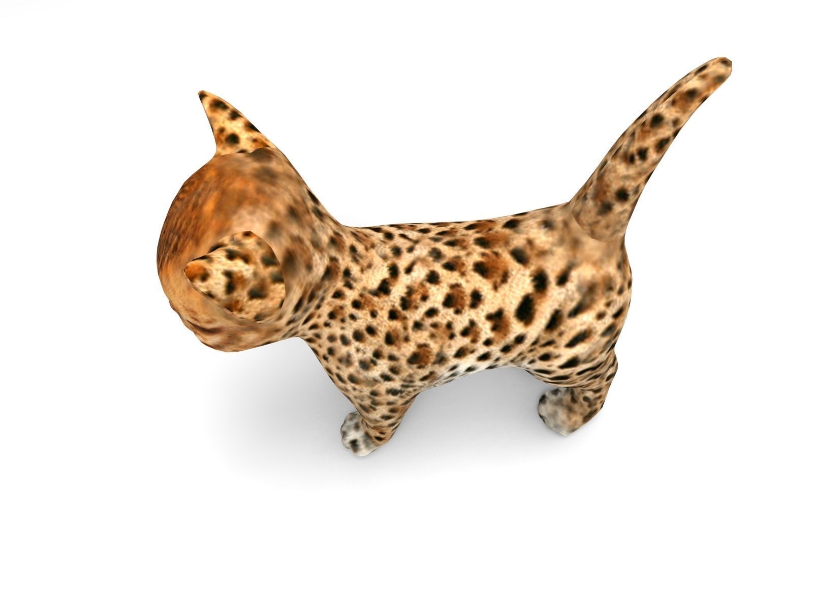 3d Cat Animated model  Low-poly 3D model_2