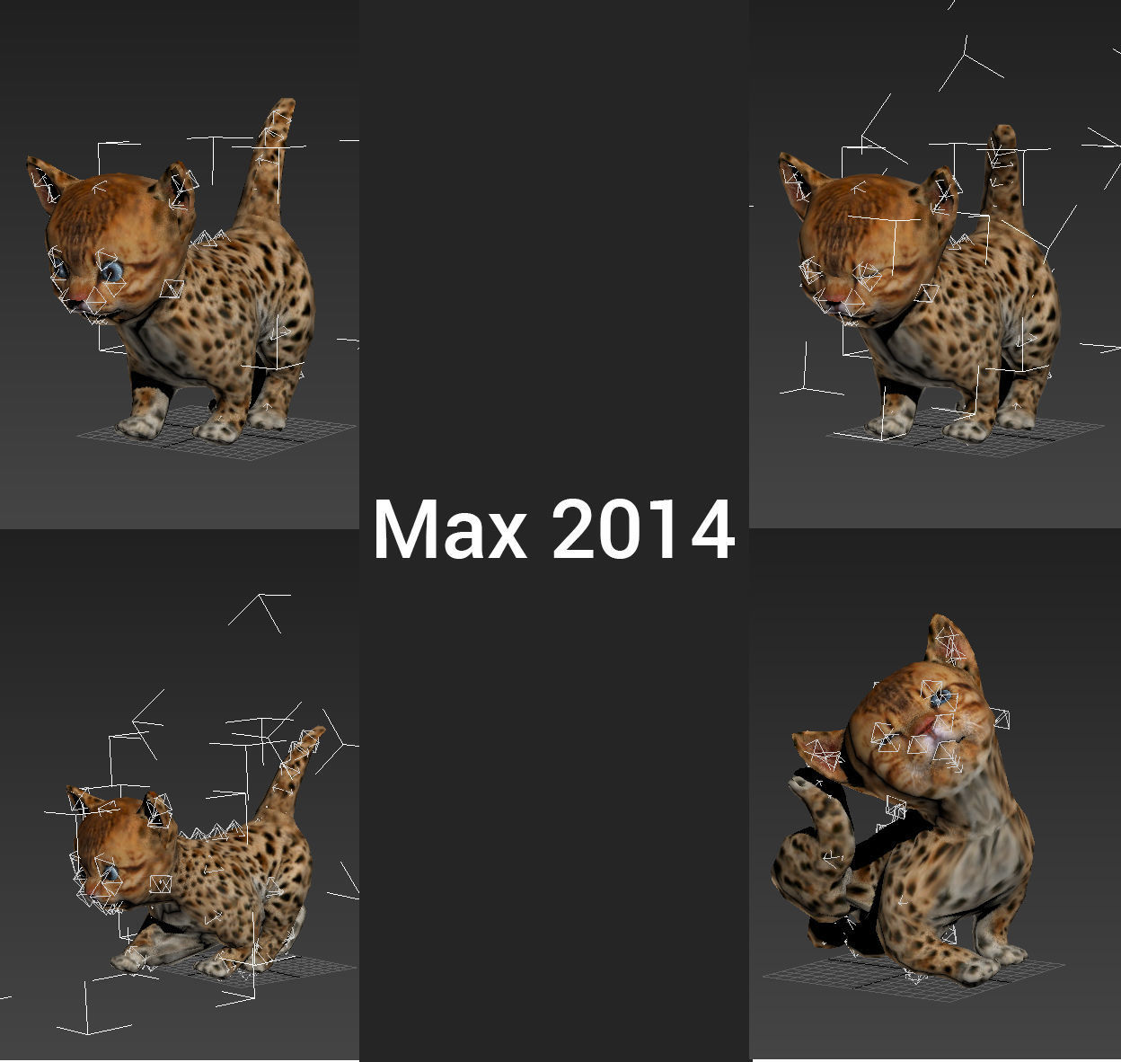 3d Cat Animated model  Low-poly 3D model_11