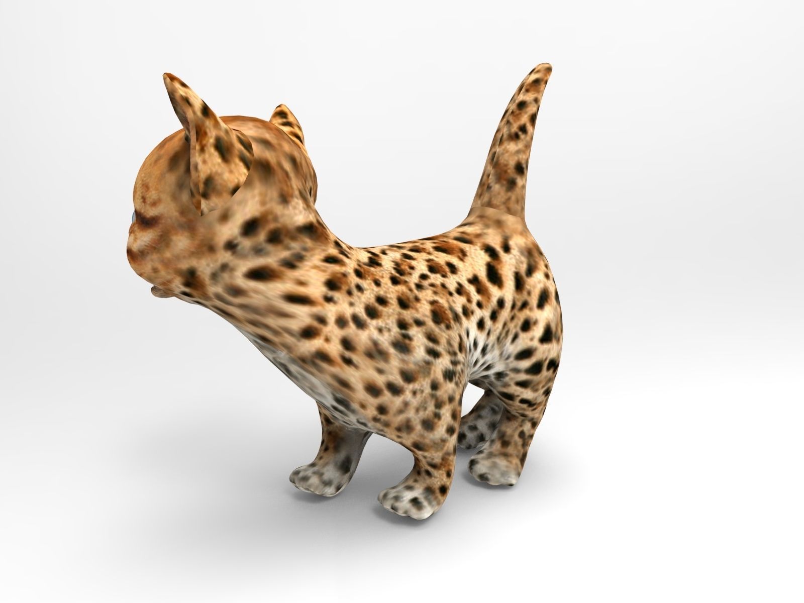 3d Cat Animated model  Low-poly 3D model_7