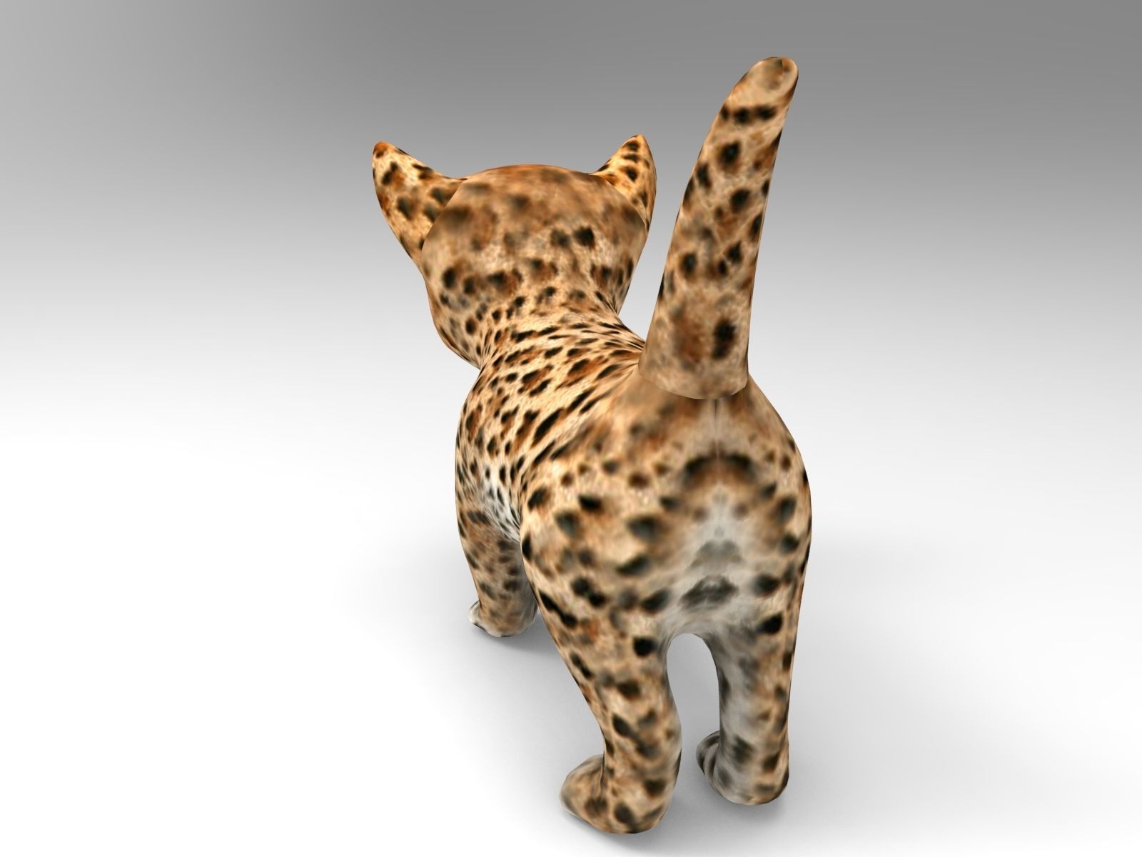 3d Cat Animated model  Low-poly 3D model_3