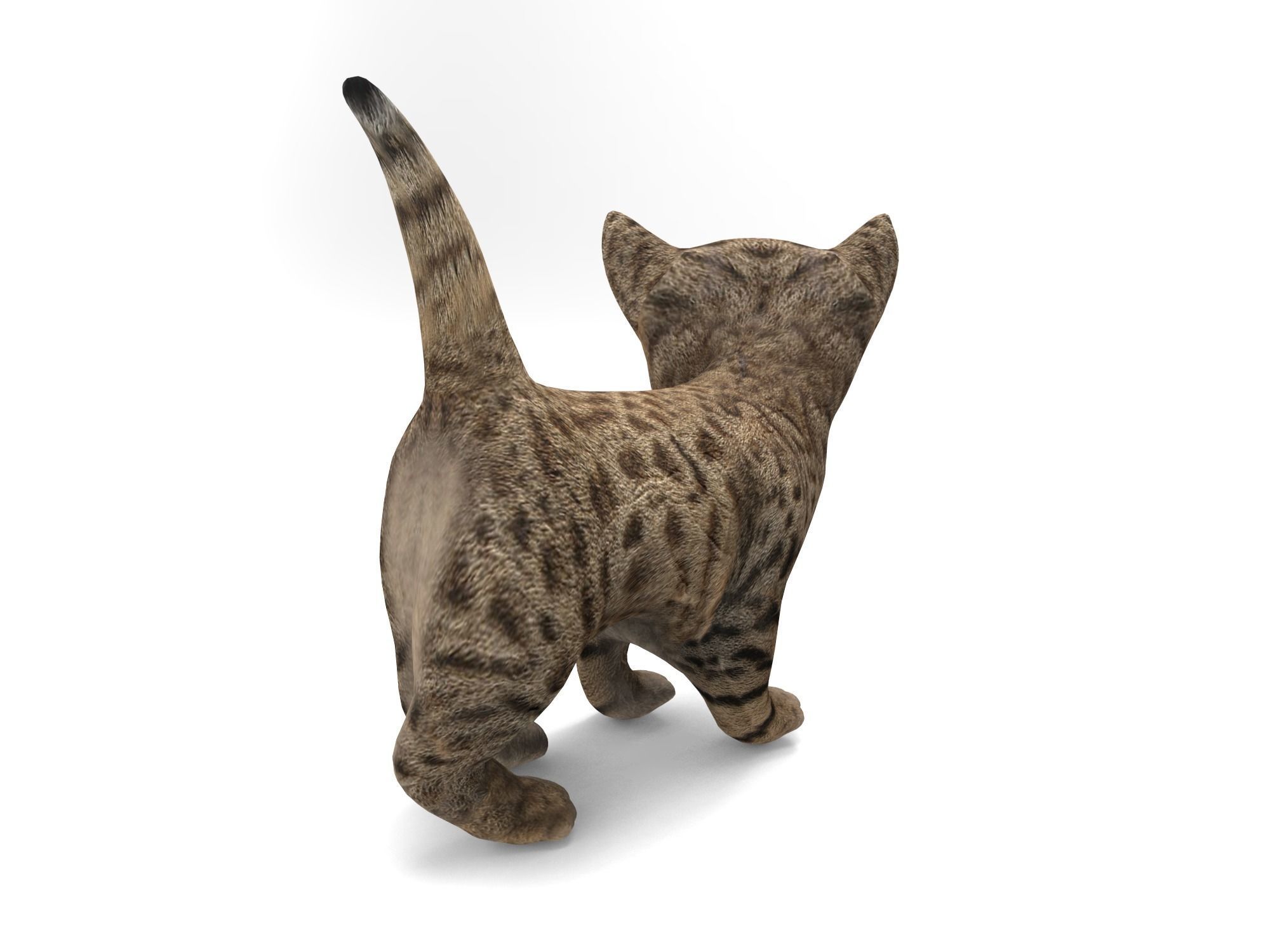 Cute Cartoon Cat Animated Low-poly 3D model_7