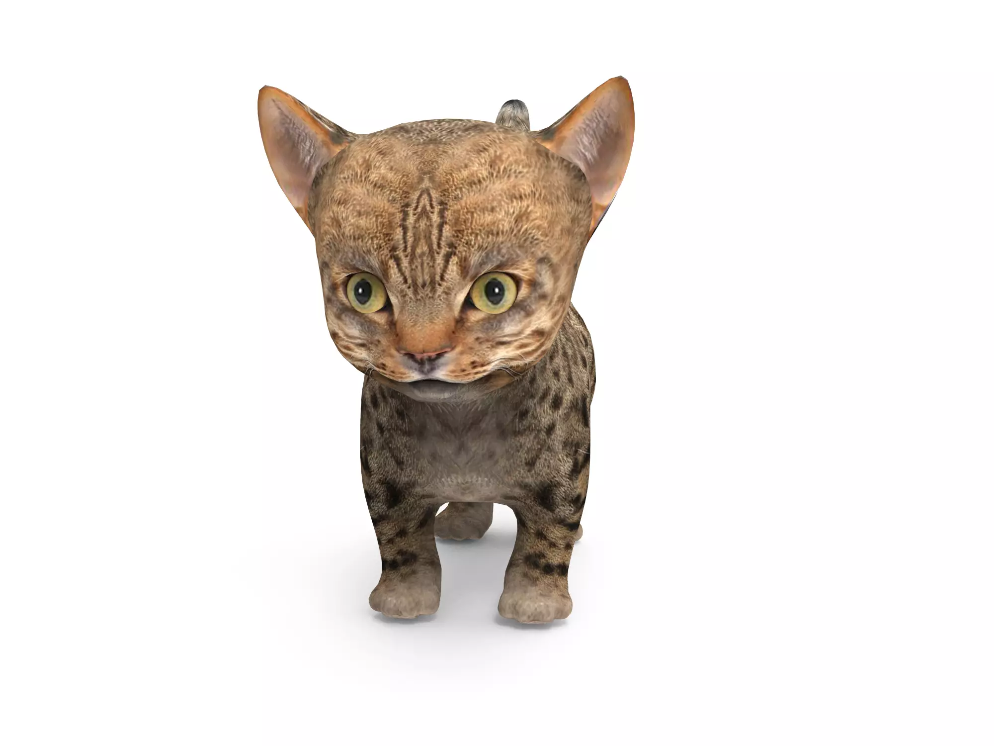 Cute Cartoon Cat Animated Low-poly 3D model_3