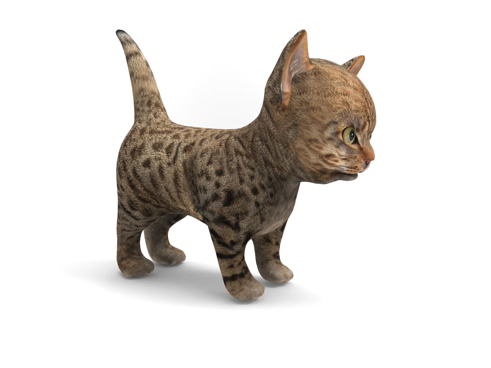 Cute Cartoon Cat Animated Low-poly 3D model_14