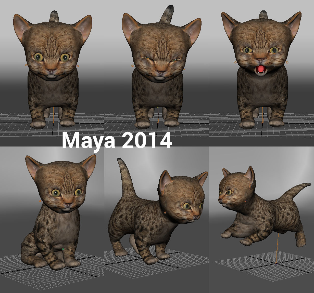 Cute Cartoon Cat Animated Low-poly 3D model_15