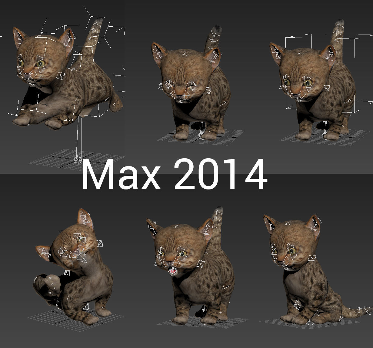 Cute Cartoon Cat Animated Low-poly 3D model_16