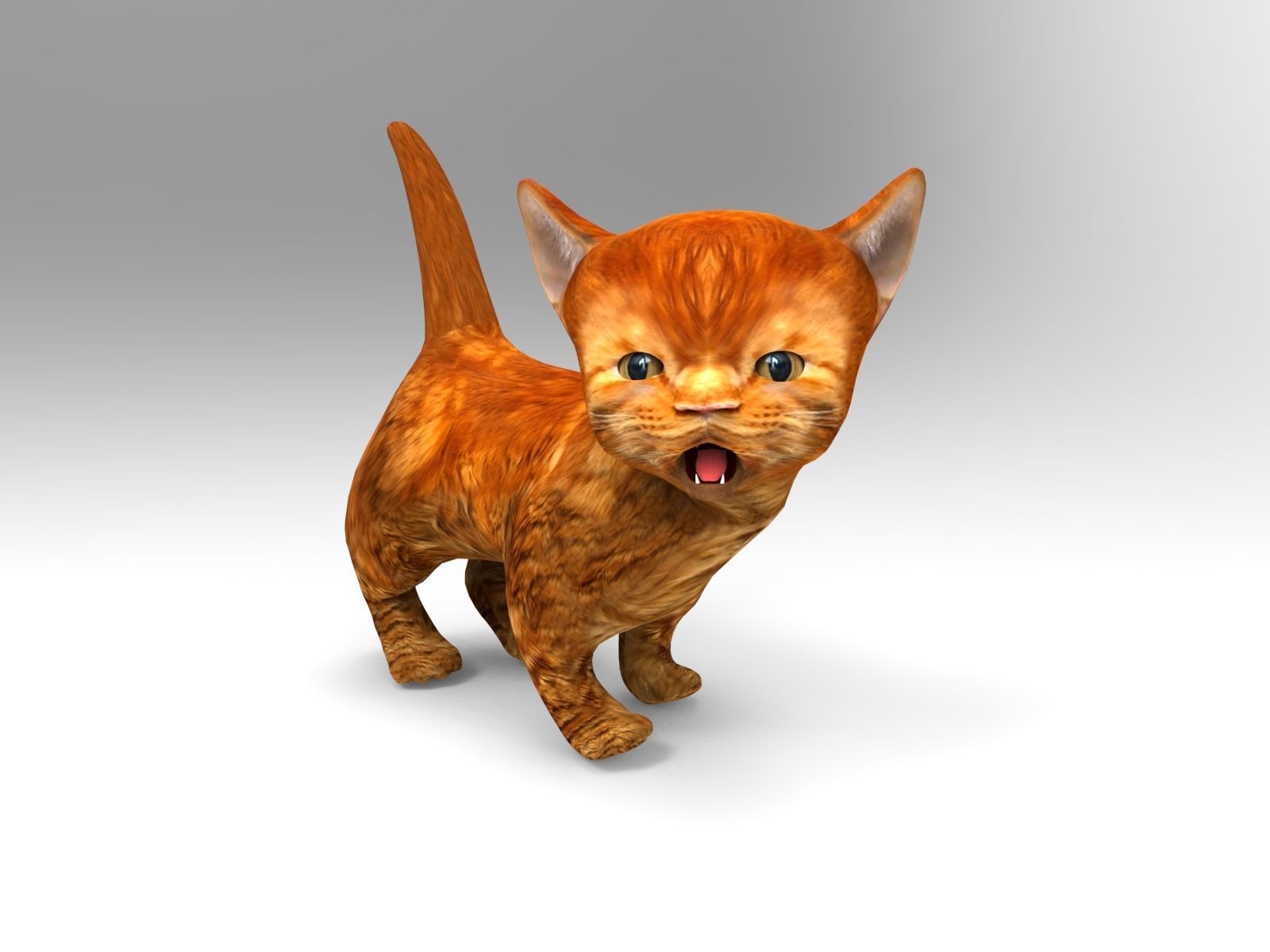 3D Cat Animated Low-poly 3D model_10