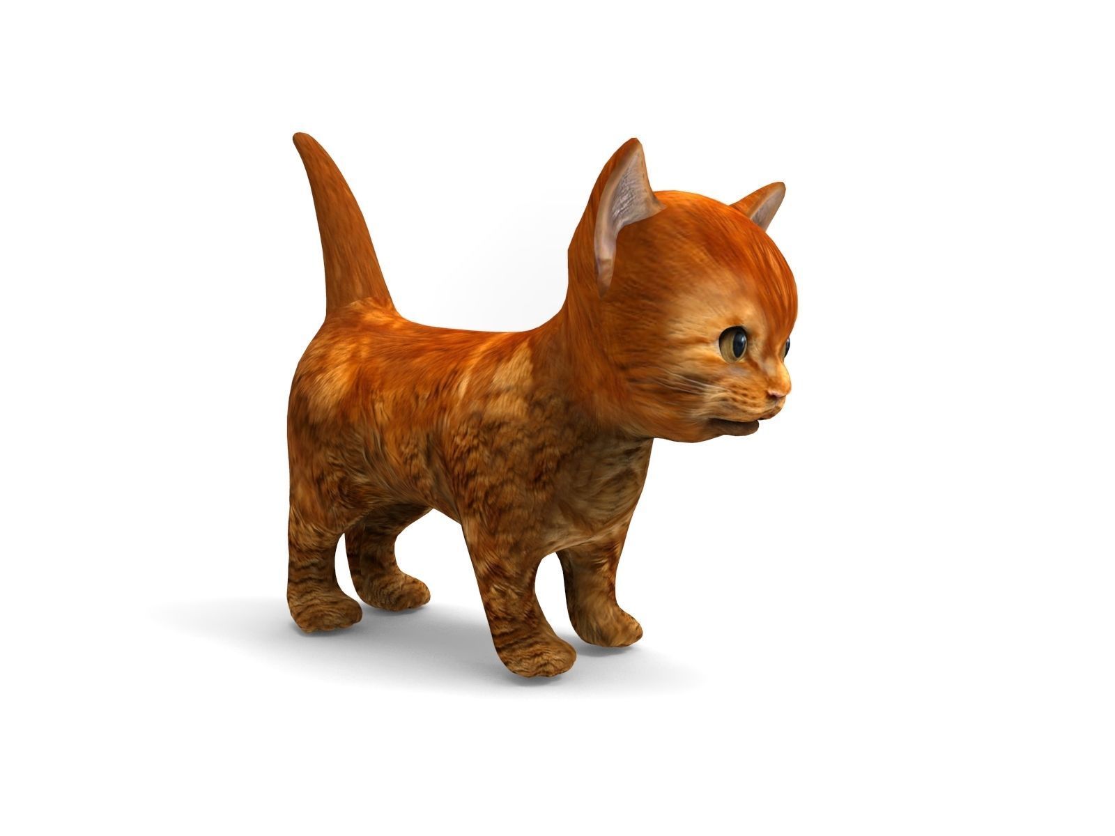 3D Cat Animated Low-poly 3D model_6