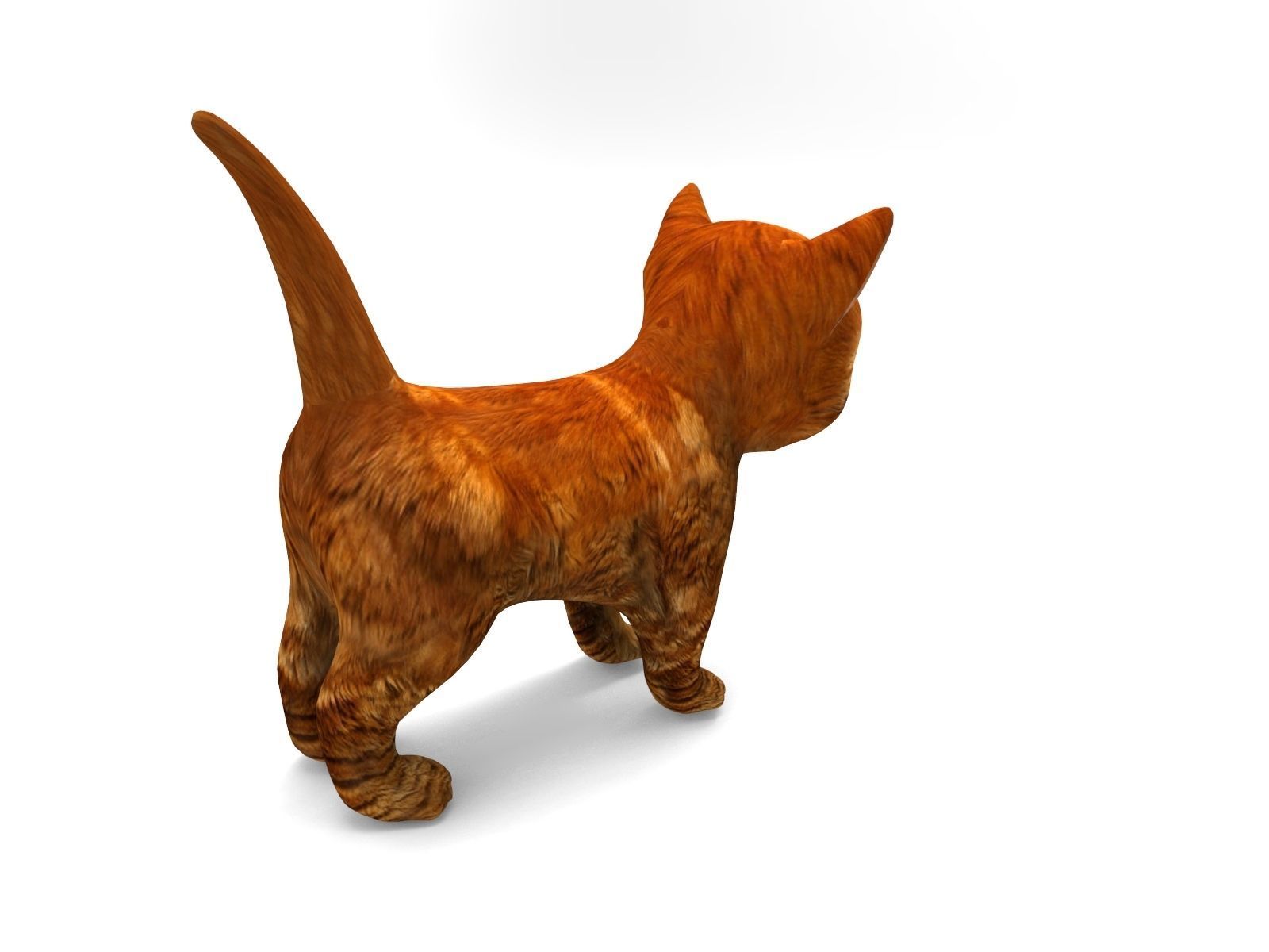 3D Cat Animated Low-poly 3D model_7