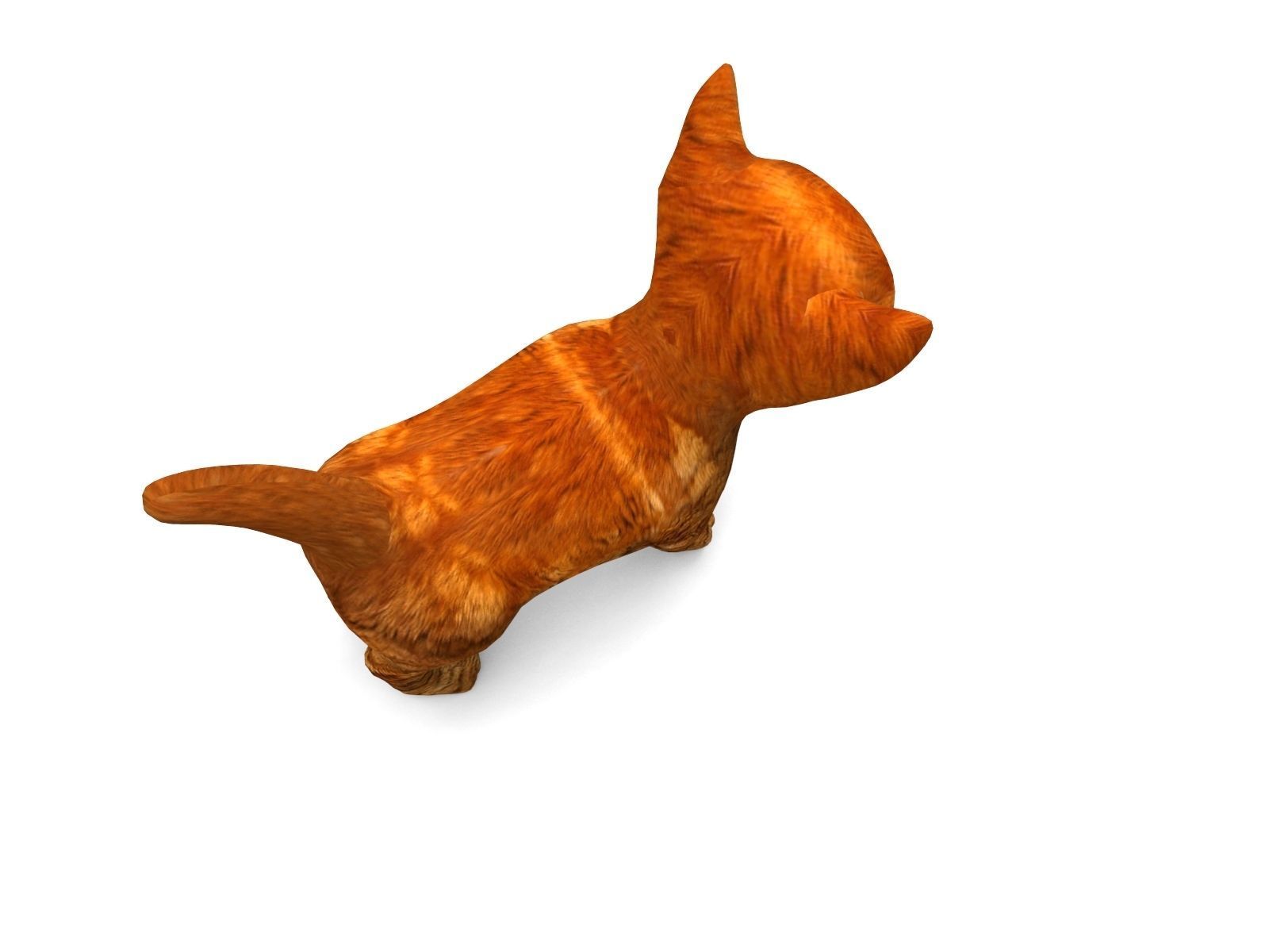 3D Cat Animated Low-poly 3D model_2