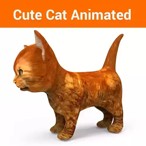 3D Cat Animated Low-poly 3D model
