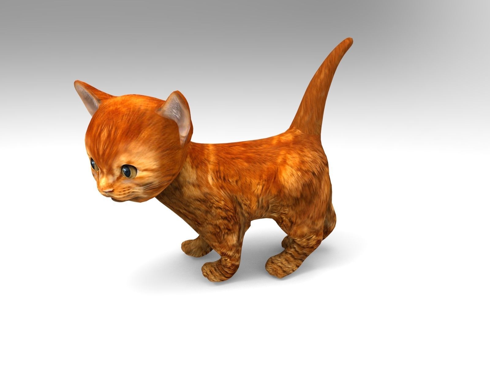 3D Cat Animated Low-poly 3D model_9