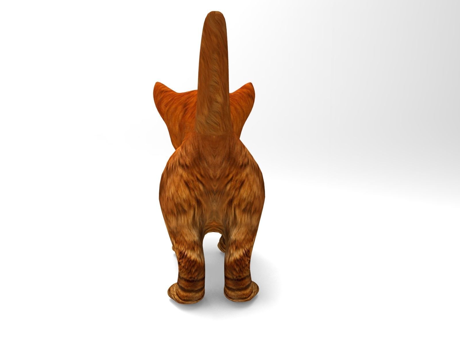 3D Cat Animated Low-poly 3D model_4